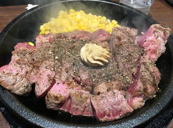 ワイルドステーキ450グラム