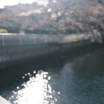 門前仲町付近