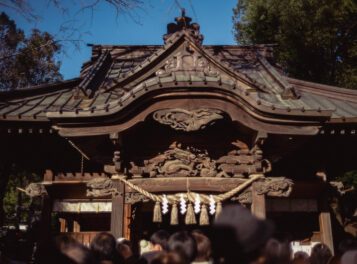 2024年の初詣で訪れた田無神社の本殿