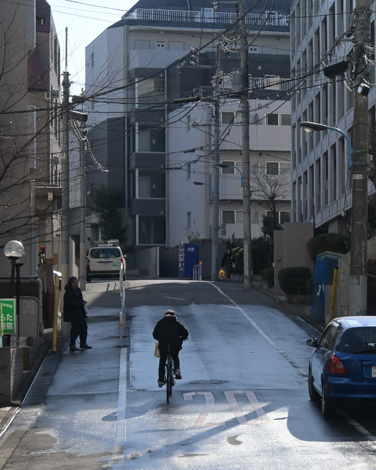 Nikon Z50II 16-50mm で撮影