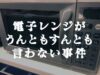 電子レンジがうんともすんと言わない事件